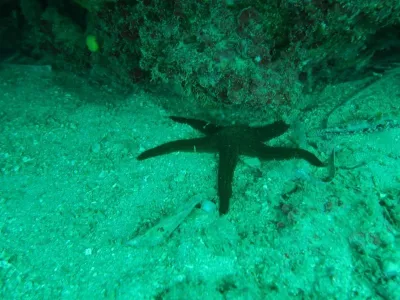 Elba - Itálie, fotografie 227