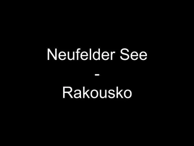 Neufelder See - Rakousko, fotografie 1