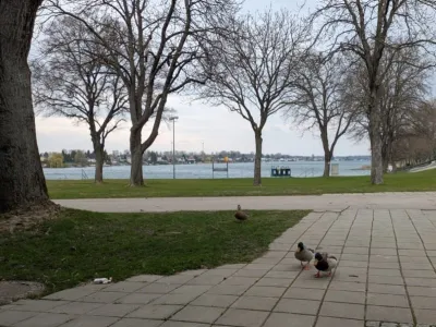 Neufelder See - Rakousko, fotografie 6