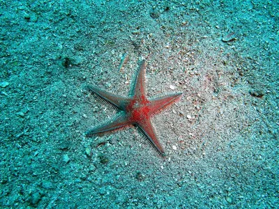 Stará Novalja - Chorvatsko, fotografie 77