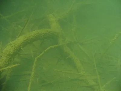 Růženin lom, fotografie 10