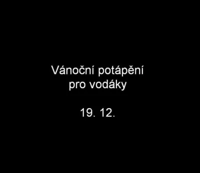 Vánoční potápění, fotografie 1