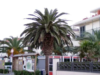 Elba, fotografie 15