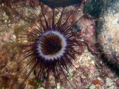 Elba, fotografie 58