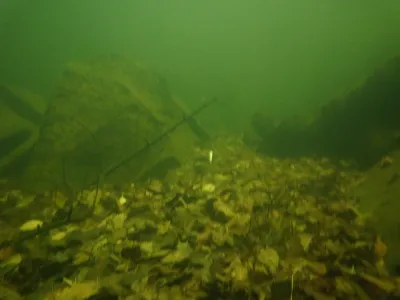 Lom Arcibiskupský, fotografie 26
