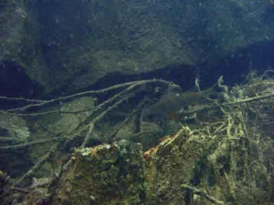 Lom Blansko, fotografie 57
