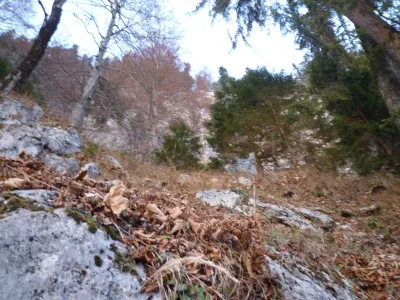 Zrcadlová stěna, fotografie 74