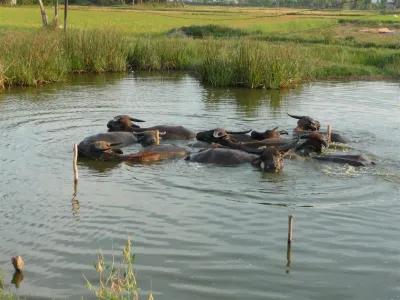 Potápění Vietnam, fotografie 11