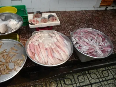 Potápění Vietnam, fotografie 12