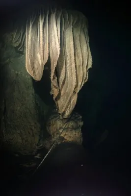 Manjana Brač - Chorvatsko, fotografie 22