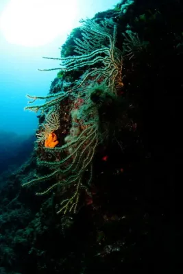 Manjana Brač - Chorvatsko, fotografie 49
