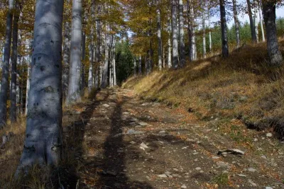 Svobodné Heřmanice, fotografie 17