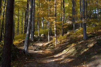 Černá voda, fotografie 9