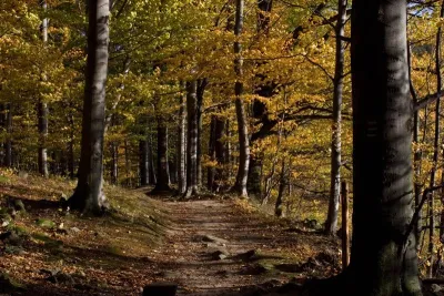 Černá voda, fotografie 11