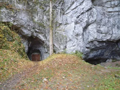 Plazivá kačena, fotografie 16