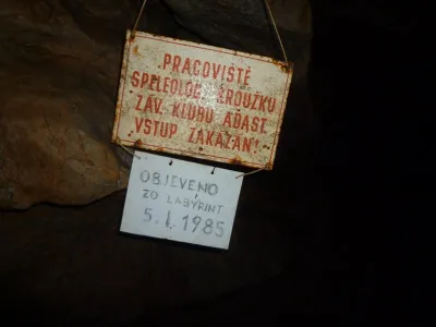 Plazivá kačena, fotografie 116