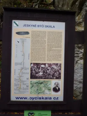 Plazivá kačena, fotografie 169