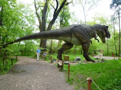 DinoZatorland - Polsko, fotografie 11