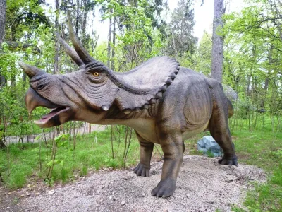 DinoZatorland - Polsko, fotografie 13