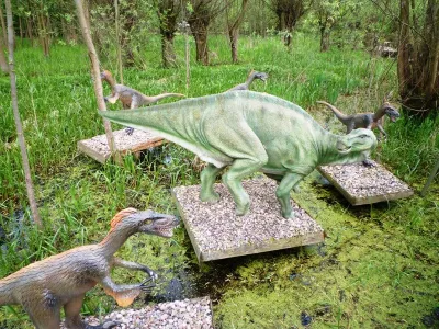 DinoZatorland - Polsko, fotografie 23