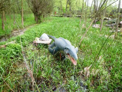 DinoZatorland - Polsko, fotografie 24