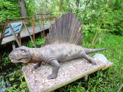 DinoZatorland - Polsko, fotografie 25