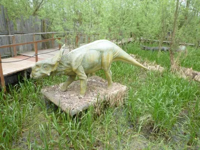 DinoZatorland - Polsko, fotografie 27