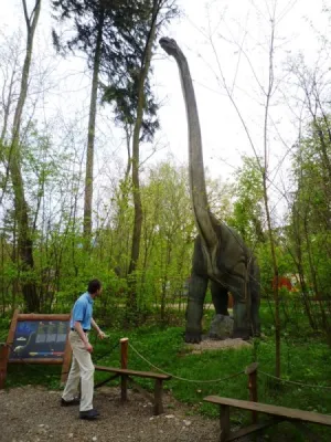 DinoZatorland - Polsko, fotografie 42