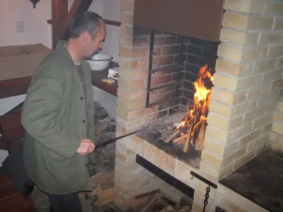 Plazivá kačena, fotografie 48
