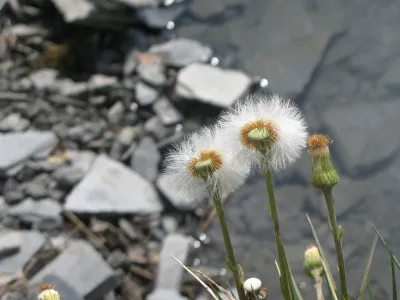 Lom Šífr Svobodné Heřmanice, fotografie 24