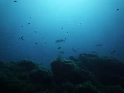 Elba - Itálie, fotografie 48