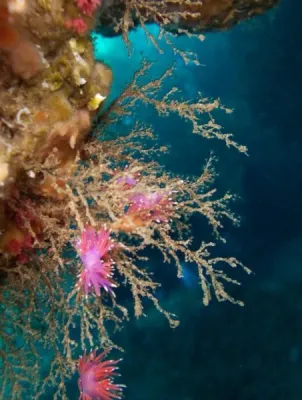 Menorca, fotografie 19