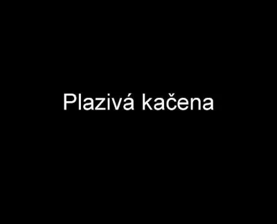 Plazivá kačena, fotografie 1