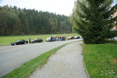 Plazivá kačena, fotografie 11