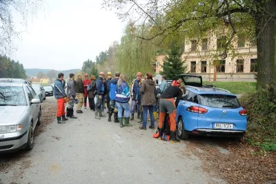 Plazivá kačena, fotografie 17