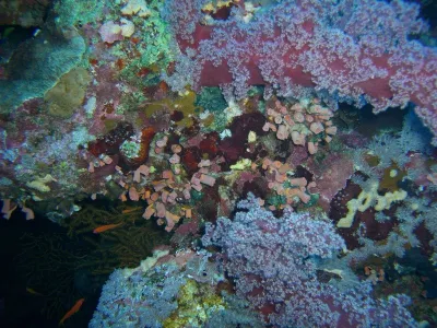 Egypt, fotografie 23