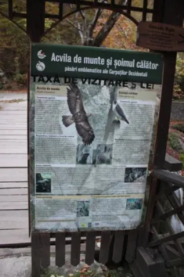 Expedice Rumusko, fotografie 446