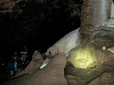 Plazivá kačena, fotografie 27