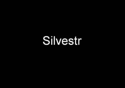 Silvestr Blansko, fotografie 1