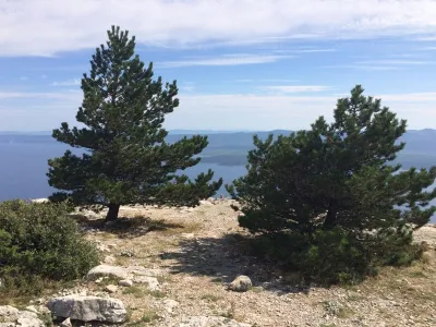 Ostrov Brač - Chorvatsko, fotografie 47