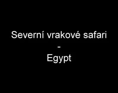 Egypt - severní safari, fotografie 1