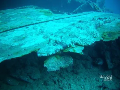 Egypt - severní safari, fotografie 18
