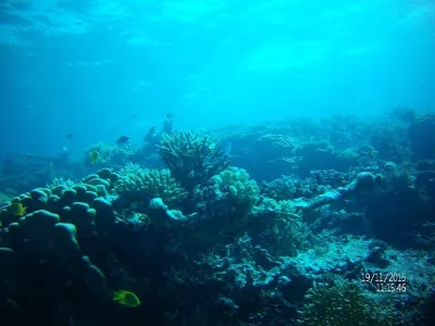 Egypt - severní safari, fotografie 19