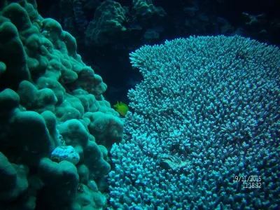 Egypt - severní safari, fotografie 21