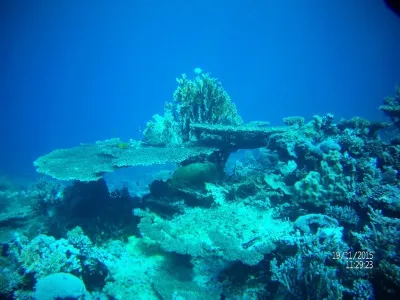 Egypt - severní safari, fotografie 24