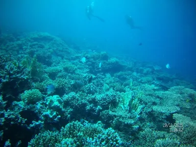 Egypt - severní safari, fotografie 29