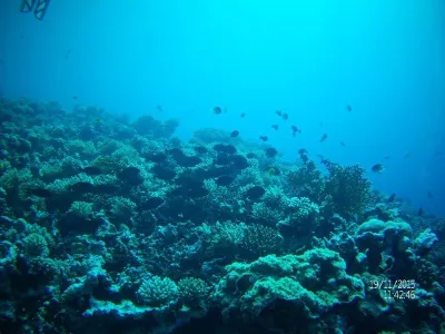 Egypt - severní safari, fotografie 38