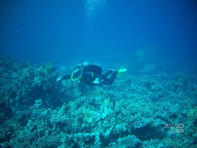 Egypt - severní safari, fotografie 39