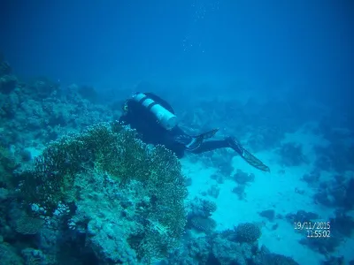 Egypt - severní safari, fotografie 43