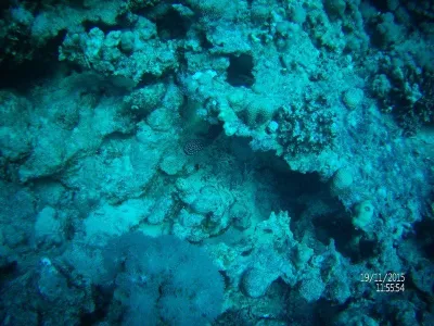 Egypt - severní safari, fotografie 45